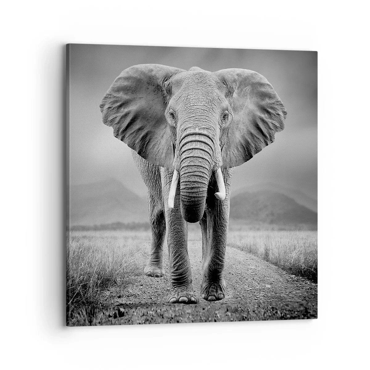 Cuadro sobre lienzo - Impresión de Imagen - El anfitrión da la bienvenida - 70x70 cm