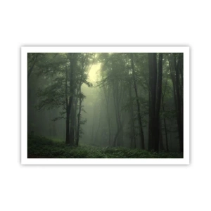 Póster - Un bosque verde por la mañana envuelto en una delicada niebla. - 100x70cm - Antes de que se despierte el bosque - Decoración de pared moderna para salón y dormitorio ARTTOR