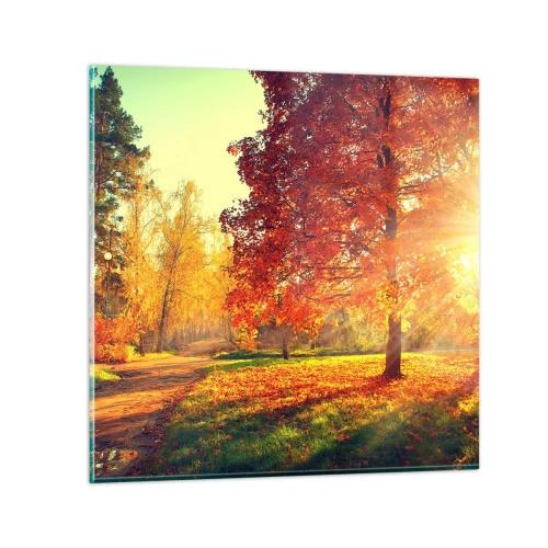 Cuadro sobre vidrio - Impresiones sobre Vidrio - El rojo es hermoso - 40x40 cm