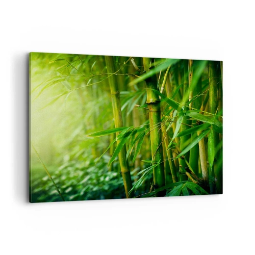 Cuadro sobre lienzo - Impresión de Imagen - Bosque de bambú verde bajo una luz suave - 120x80cm - Conocer el propio verdor - Decoración de pared moderna para salón y dormitorio ARTTOR