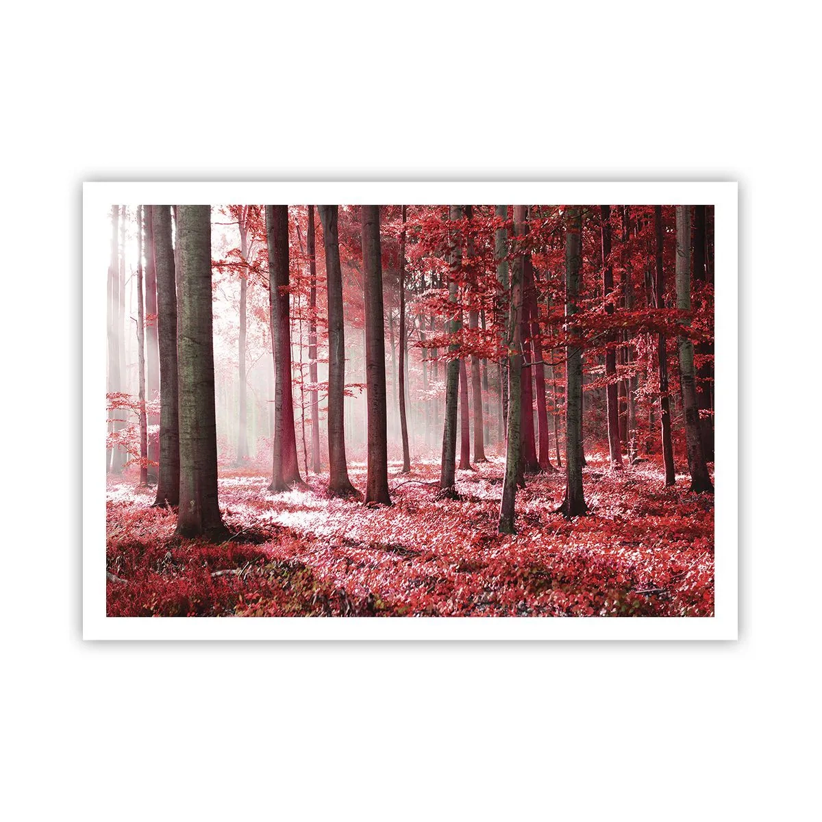 Póster - Un impresionante bosque en tonos rojos con rayos de luz que penetran a través de los árboles. - 100x70cm - Rojo como el que más - Decoración de pared moderna para salón y dormitorio ARTTOR