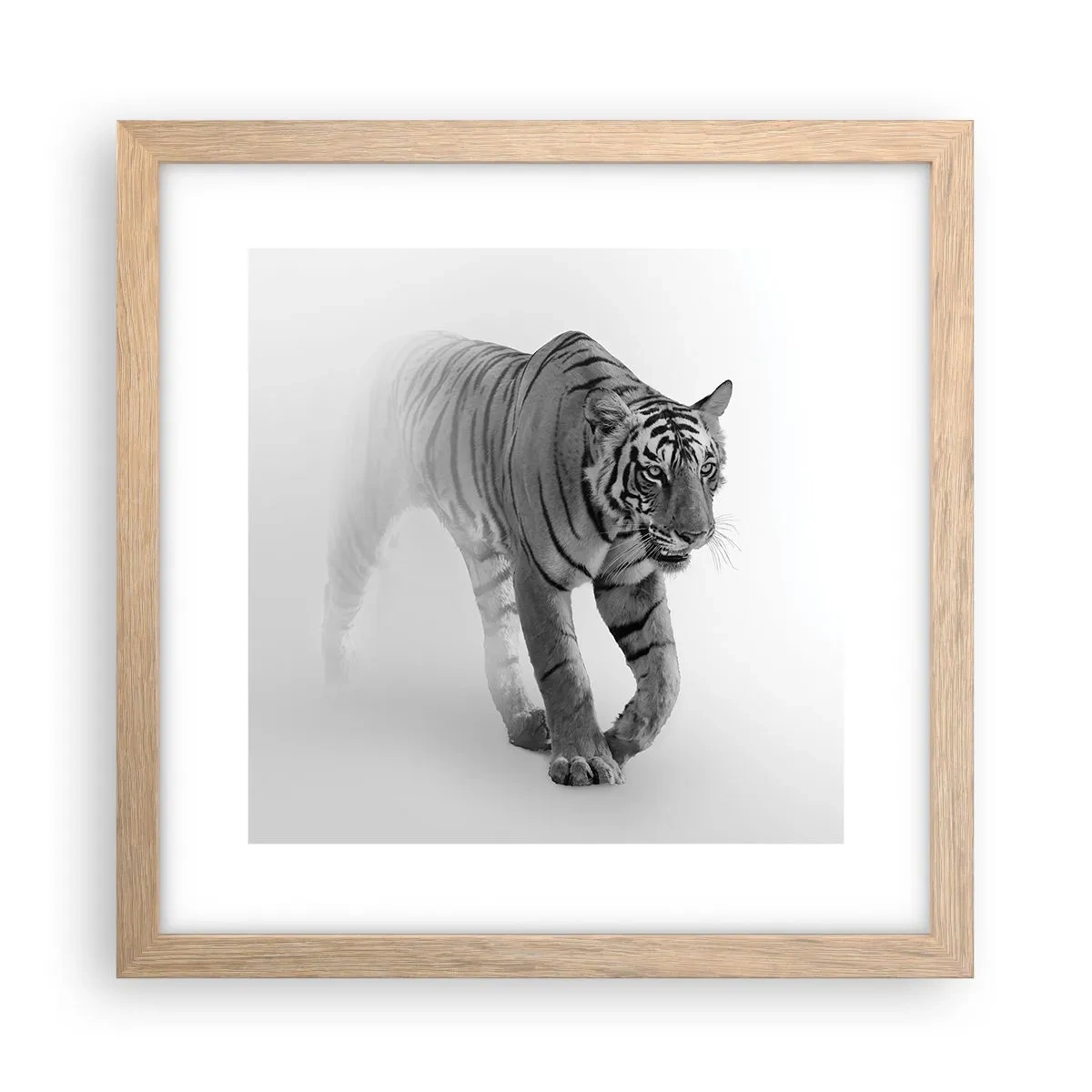 Póster en marco roble claro - Siempre alerta entre la niebla - 30x30 cm