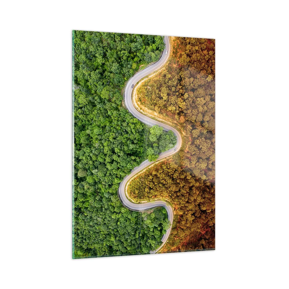 Cuadro sobre vidrio - Impresiones sobre Vidrio - Un camino sinuoso a través de un denso bosque visto a vista de pájaro. - 50x70cm - Frontera serpenteante - Decoración de pared moderna para salón y dormitorio ARTTOR
