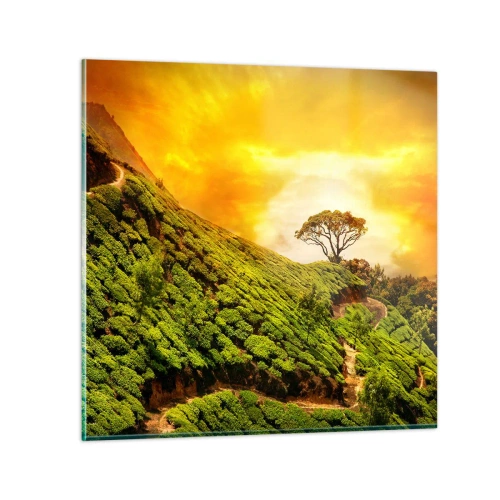 Cuadro sobre vidrio - Impresiones sobre Vidrio - Por un camino sinuoso, por una verde pendiente - 30x30 cm