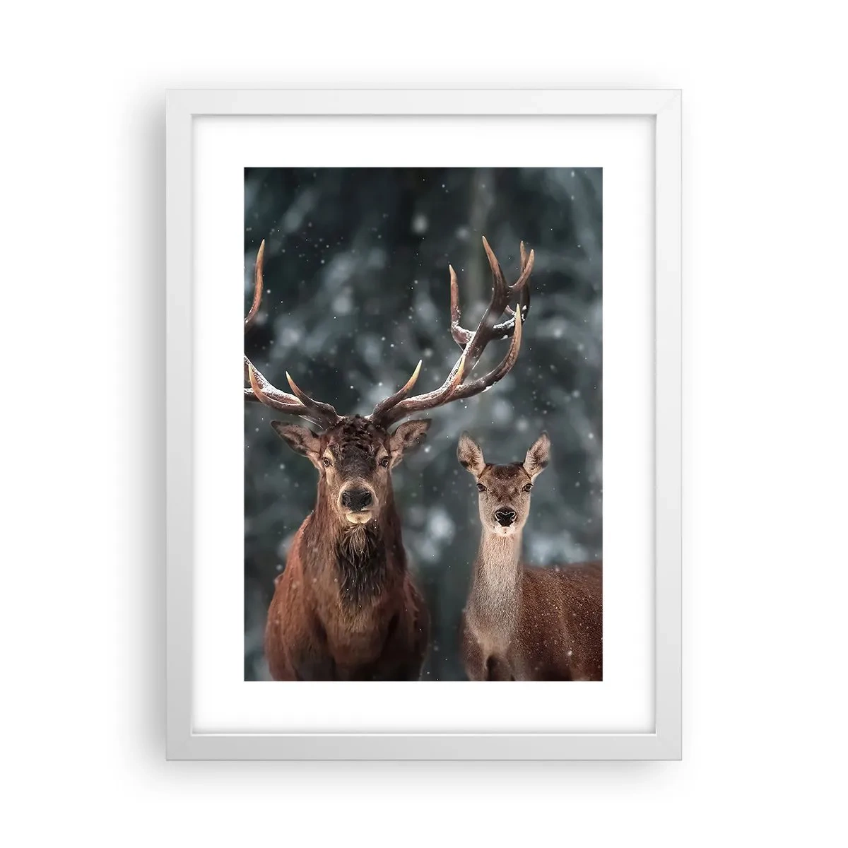 Póster en marco blanco - El señor y la señora del bosque - 30x40 cm