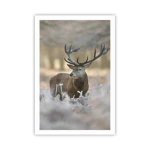 Póster - Una mañana fresca - 61x91 cm