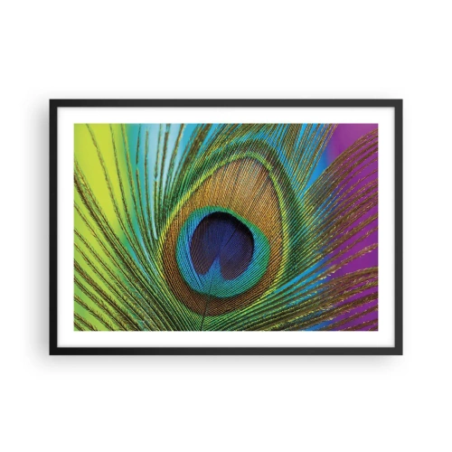 Póster en marco negro - Primer plano de una pluma de pavo real con colores vivos. - 70x50cm - Cara a cara - Decoración de pared moderna para salón y dormitorio ARTTOR
