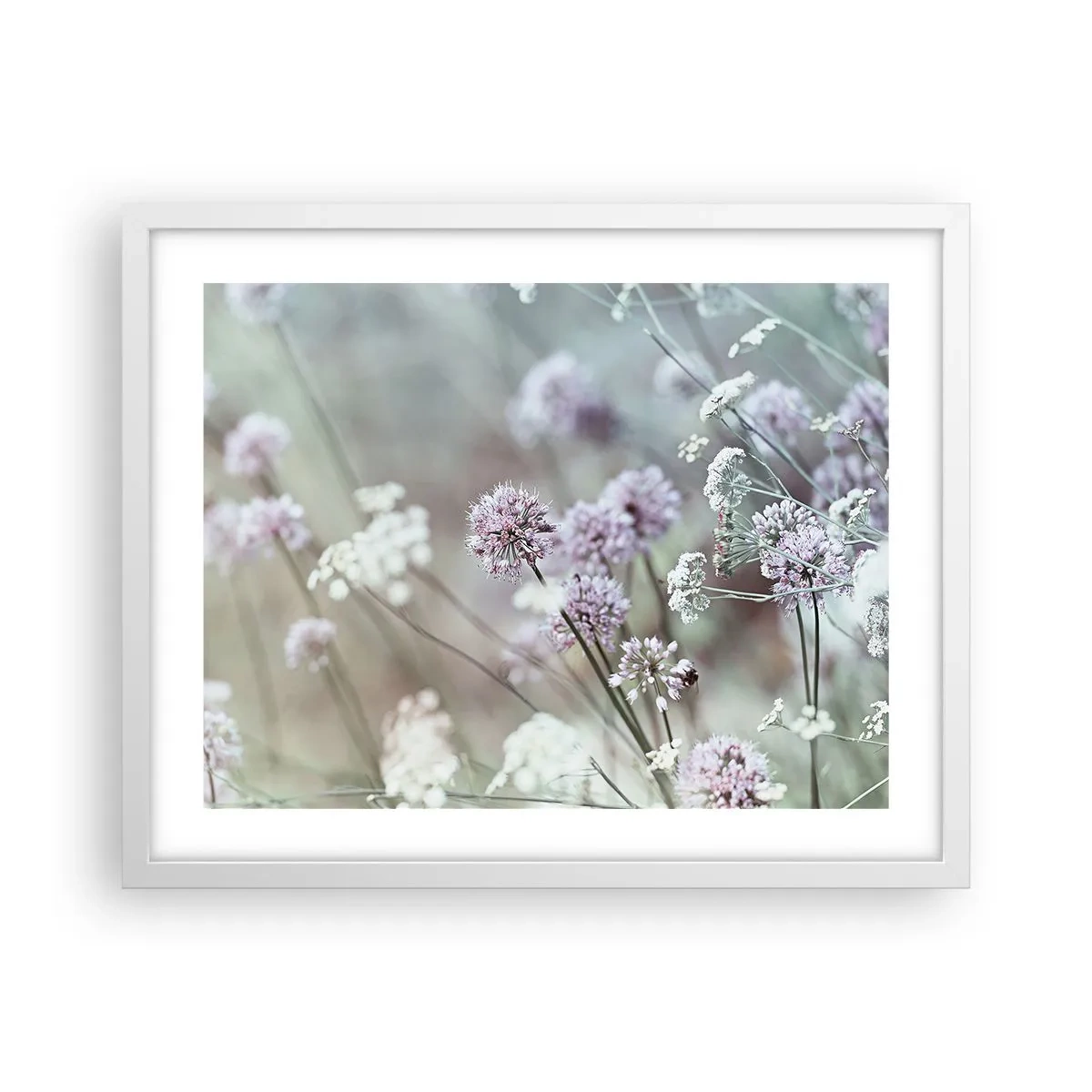 Póster en marco blanco - Dulces filigranas de hierbas - 50x40 cm