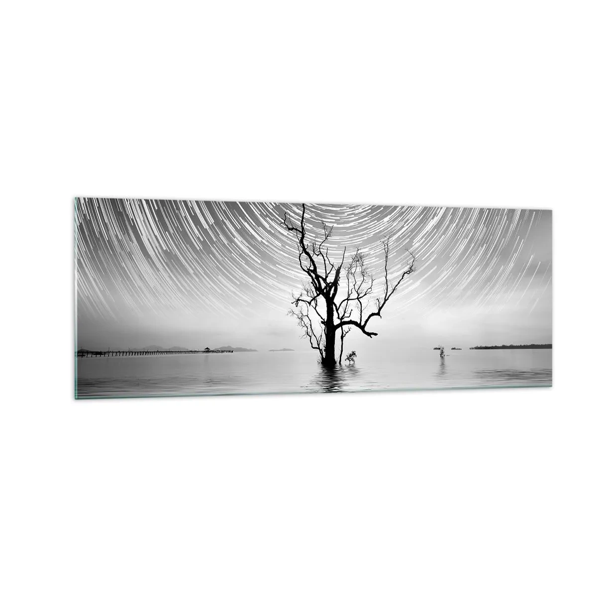 Cuadro sobre vidrio - Impresiones sobre Vidrio - Un árbol en el agua bajo un cielo nocturno con estrellas en movimiento. - 140x50cm - Una sinfonía de la naturaleza - Decoración de pared moderna para salón y dormitorio ARTTOR