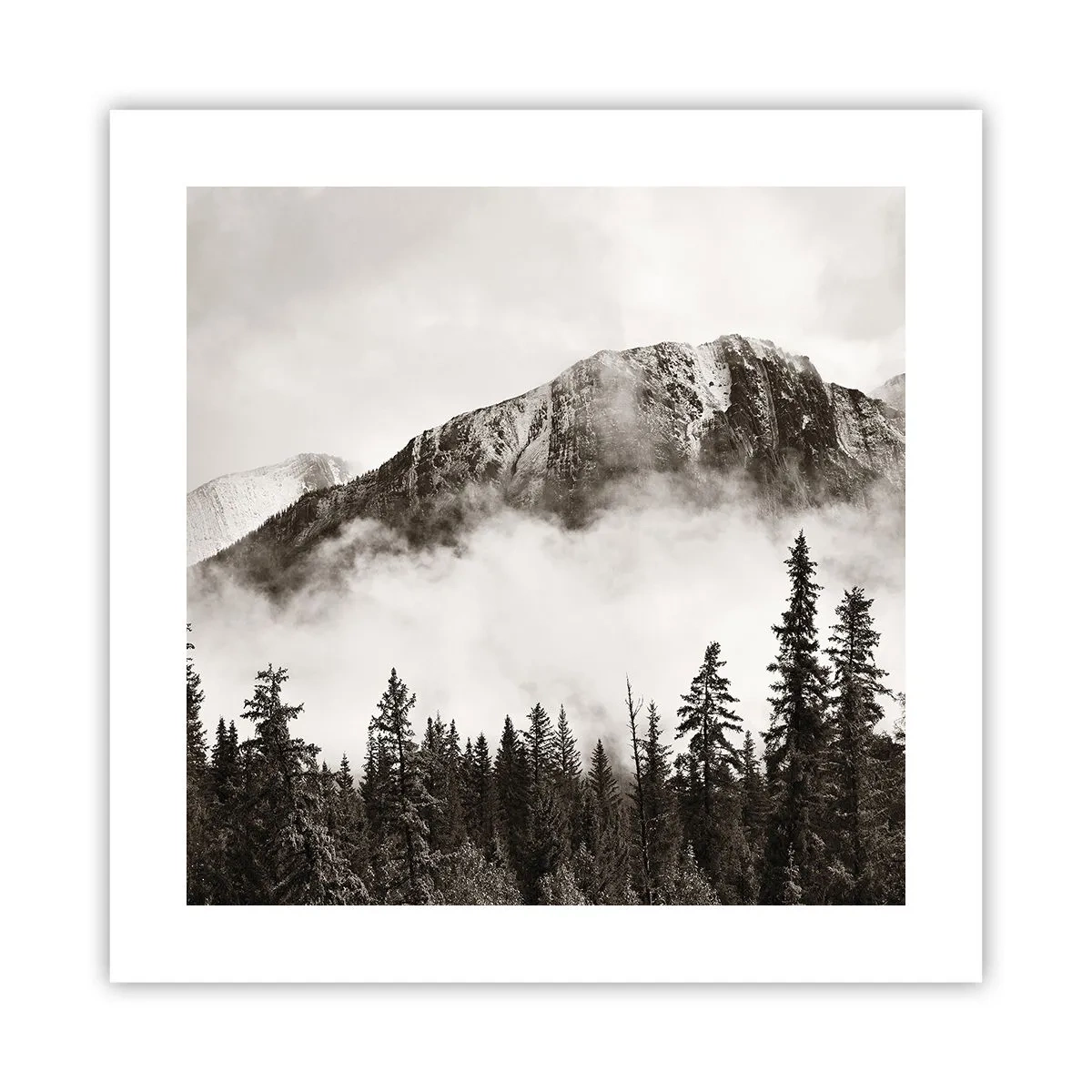 Póster - Gobernante de granito - 40x40 cm