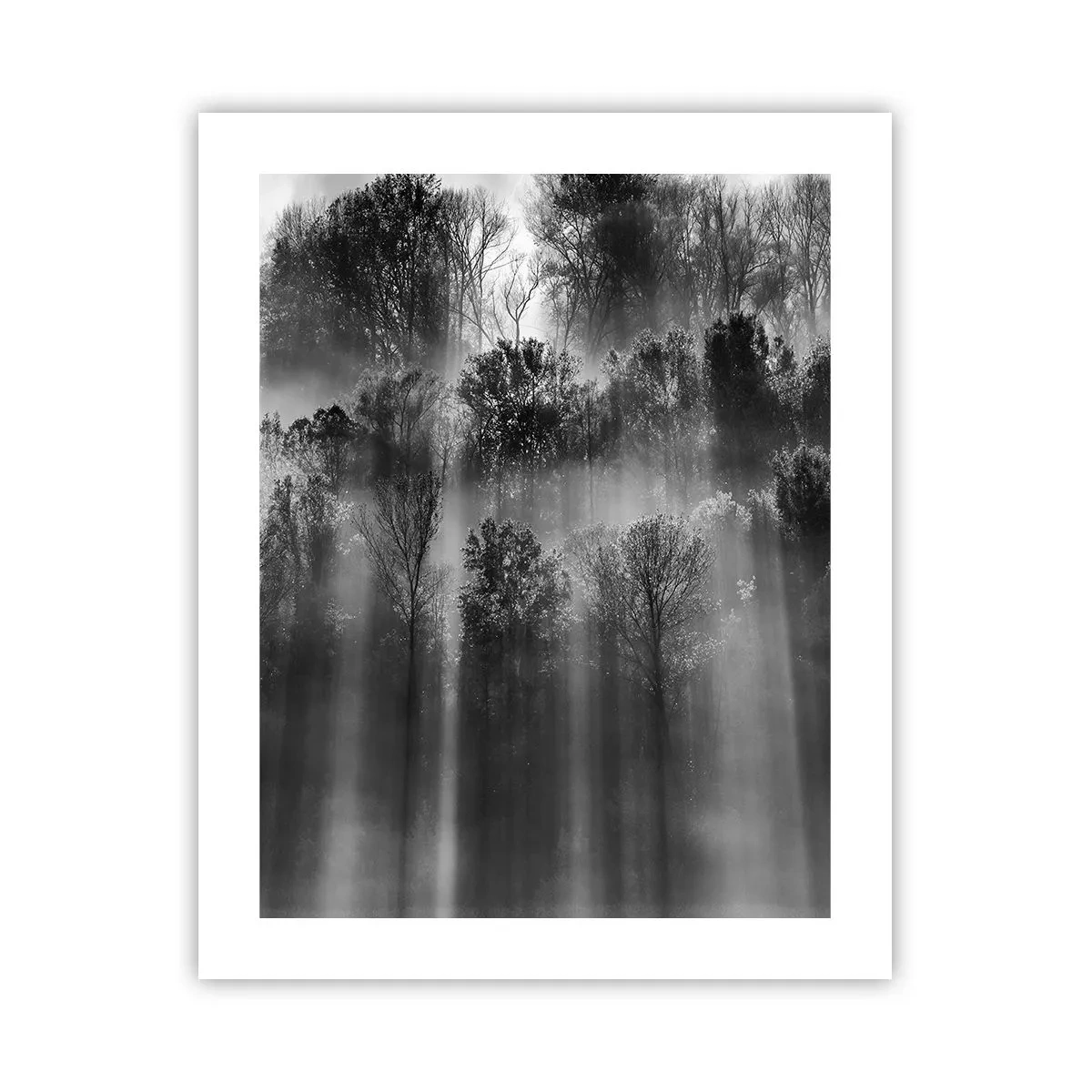 Póster - En los flujos de luz - 40x50 cm