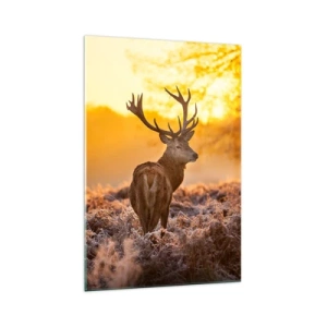 Cuadro sobre vidrio - Impresiones sobre Vidrio - Un ciervo con el telón de fondo de un bosque otoñal iluminado por el sol dorado. - 70x100cm - Rey del bosque de otoño - Decoración de pared moderna para salón y dormitorio ARTTOR