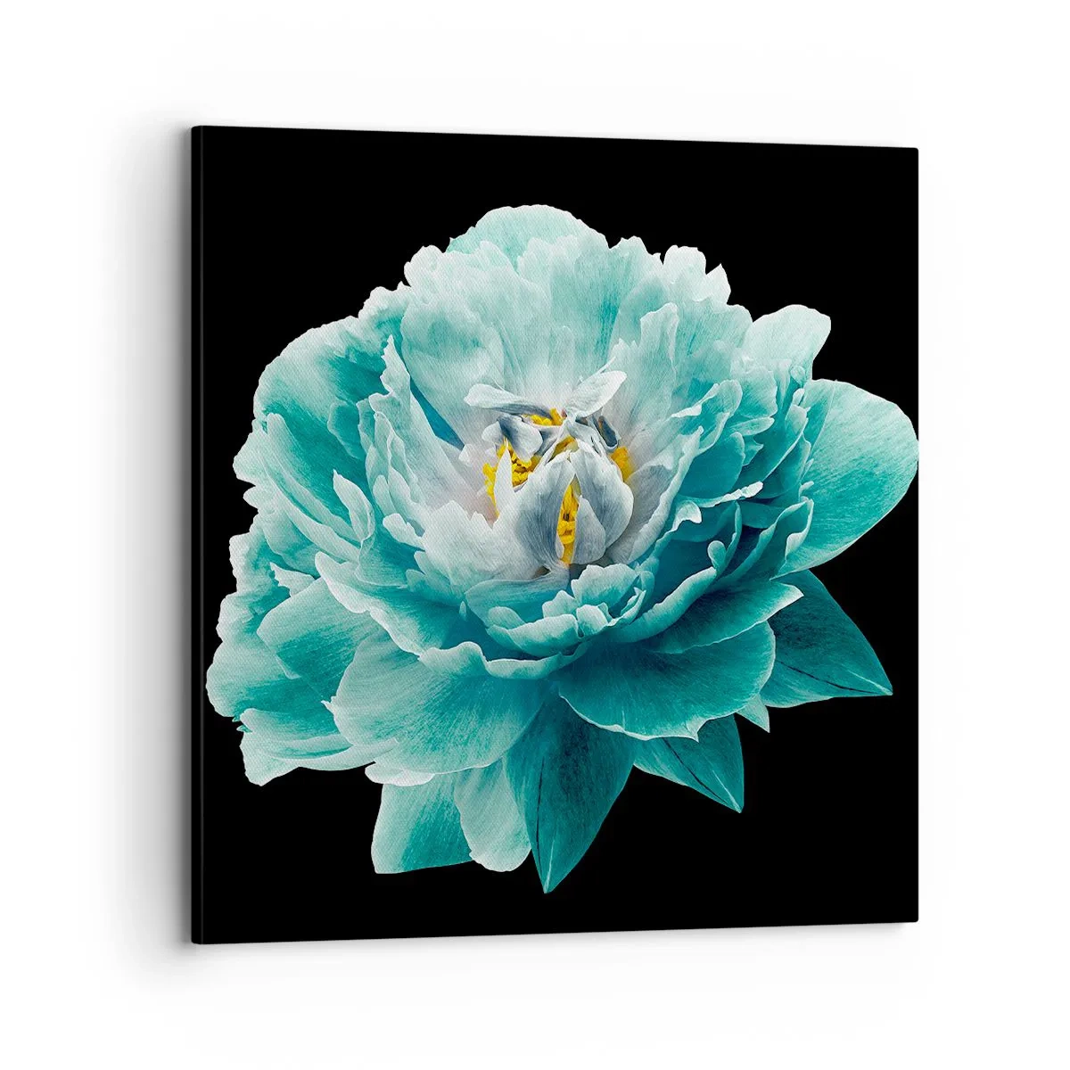 Cuadro sobre lienzo - Impresión de Imagen - Pétalos azules y dorados - 70x70 cm