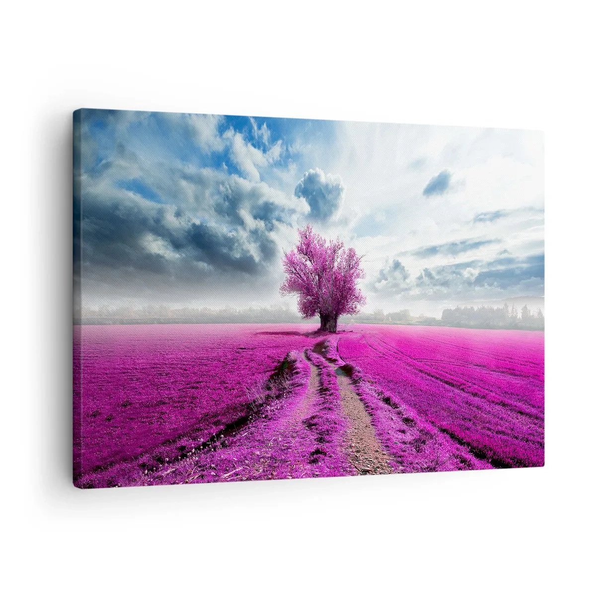 Cuadro sobre lienzo - Impresión de Imagen - Un árbol solitario en un campo de un tono rosa intenso. - 70x50cm - El brezal - un encanto - Decoración de pared moderna para salón y dormitorio ARTTOR