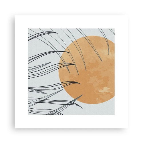 Póster - Siempre hacia el sol - 30x30 cm