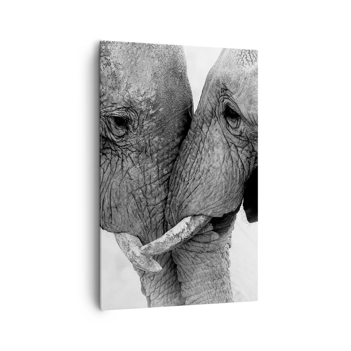 Cuadro sobre lienzo - Impresión de Imagen - Dos elefantes en un gesto tierno sobre un fondo monocromático. - 80x120cm - Una confesión sincera - Decoración de pared moderna para salón y dormitorio ARTTOR