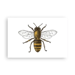 Póster - Bondad natural - 91x61 cm