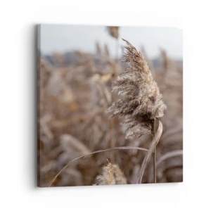 Cuadro sobre lienzo - Impresión de Imagen - Es hora de volar con el viento - 30x30 cm