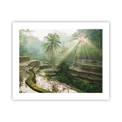 Póster - Crecer bajo el sol - 50x40 cm