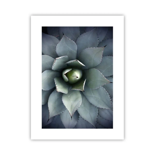 Póster - Perfección natural - 30x40 cm