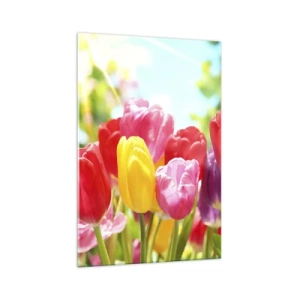 Cuadro sobre vidrio - Impresiones sobre Vidrio - Tulipanes coloridos en plena floración sobre un fondo primaveral. - 70x100cm - Somos nosotros, ¡los colores de mayo! - Decoración de pared moderna para salón y dormitorio ARTTOR