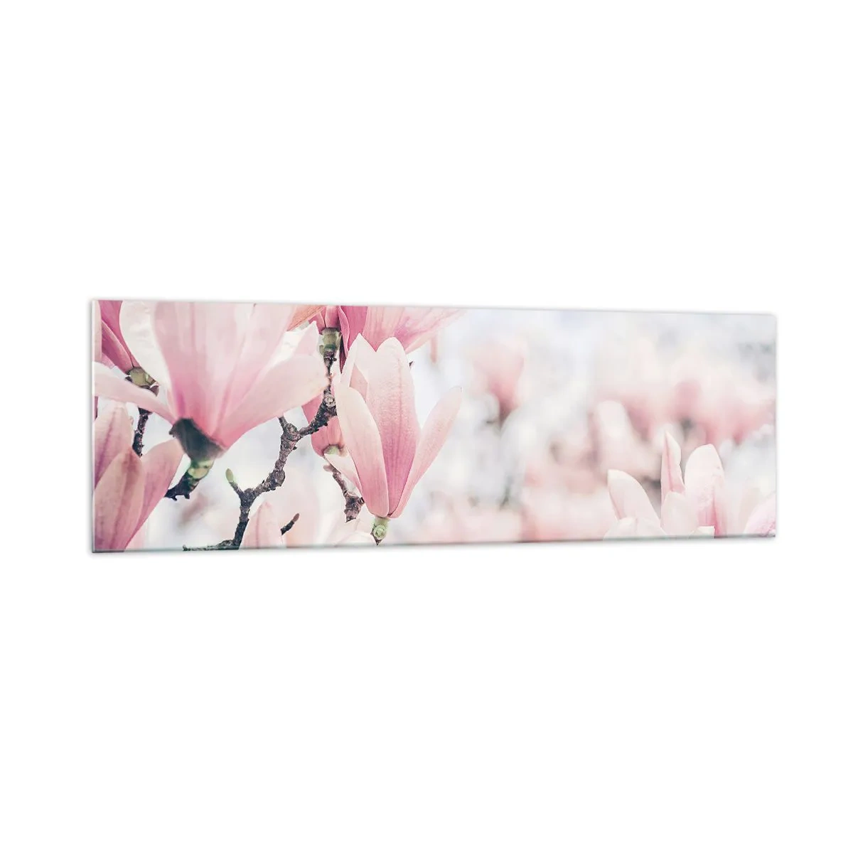 Cuadro sobre vidrio - Impresiones sobre Vidrio - Sutiles flores de magnolia en delicados tonos rosados. - 160x50cm - La perfección de la sutileza - Decoración de pared moderna para salón y dormitorio ARTTOR