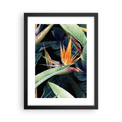 Póster en marco negro - Flores de llamas de los trópicos - 30x40 cm