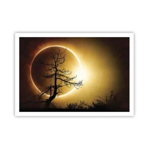 Póster - Eclipse solar con una silueta de árbol en primer plano - 100x70cm - Eclipse total - Decoración de pared moderna para salón y dormitorio ARTTOR