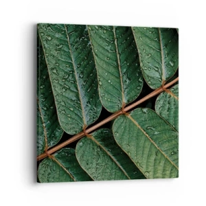 Cuadro sobre lienzo - Impresión de Imagen - En un ritmo verde - 40x40 cm