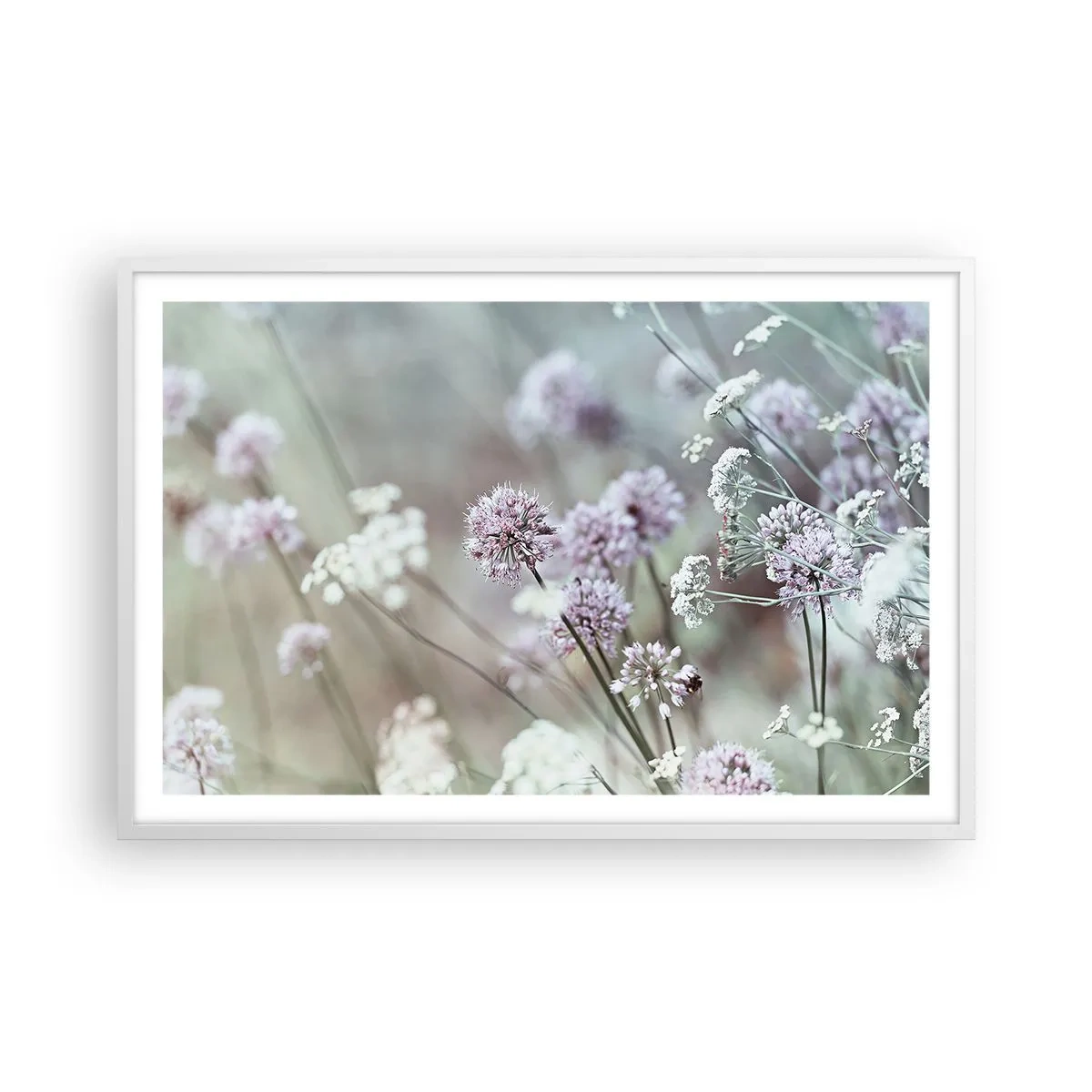 Póster en marco blanco - Dulces filigranas de hierbas - 91x61 cm