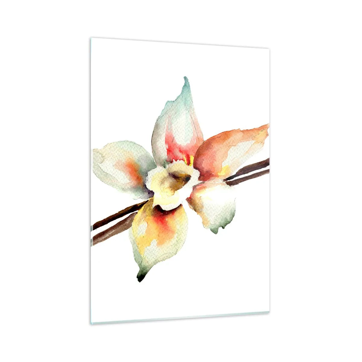 Cuadro sobre vidrio - Impresiones sobre Vidrio - Ilustración en acuarela de una flor de vainilla sobre un fondo blanco. - 50x70cm - Dulzura salpicada de pintura - Decoración de pared moderna para salón y dormitorio ARTTOR