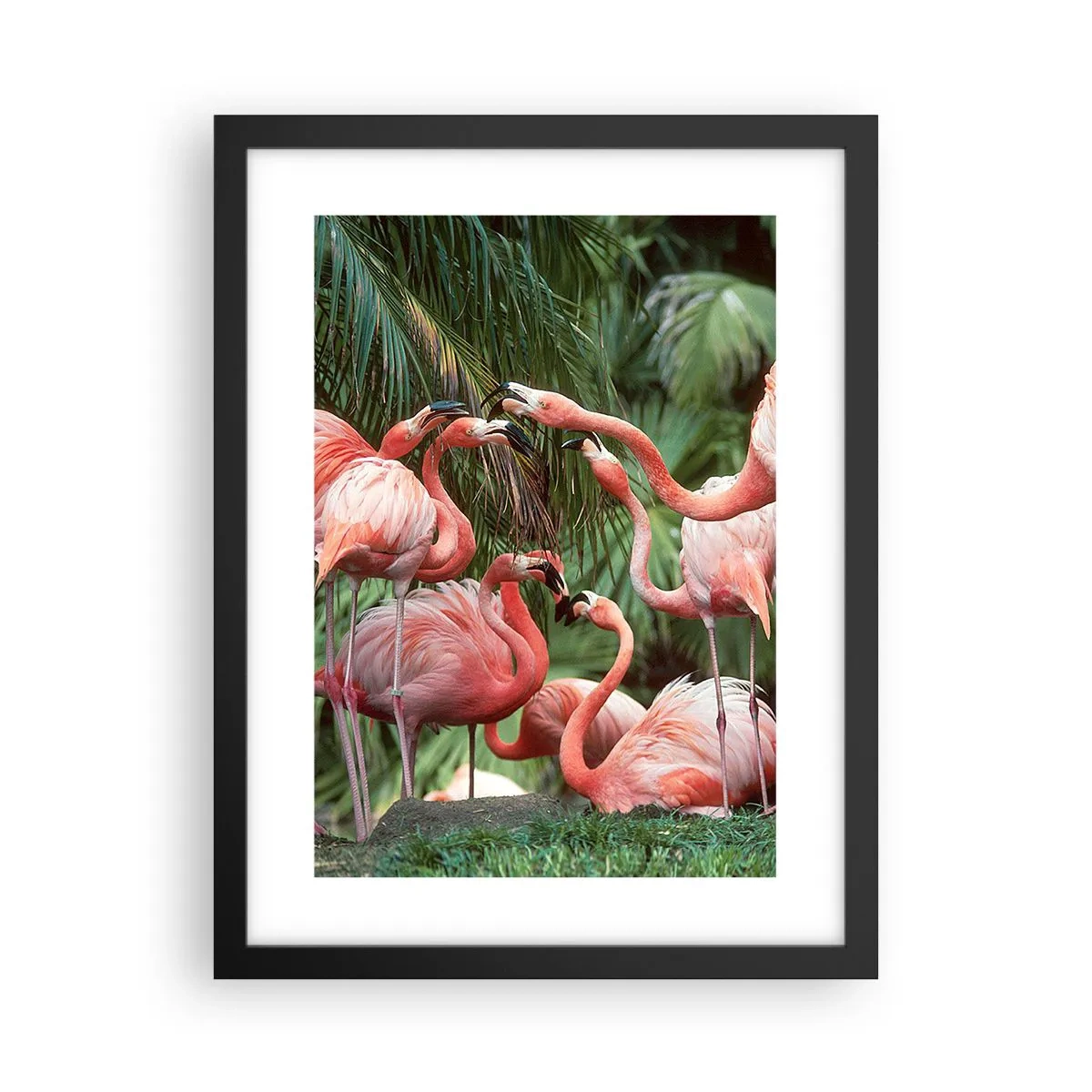 Póster en marco negro - Cotilleos de la tarde - 30x40 cm