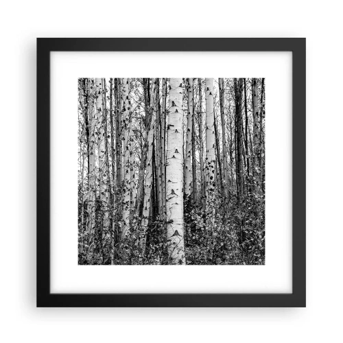 Póster en marco negro - Columnas de abedules - 30x30 cm