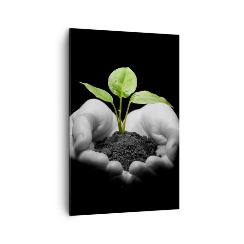 Cuadro sobre lienzo - Impresión de Imagen - Manos sosteniendo una planta verde sobre un fondo negro - 80x120cm - Amo la naturaleza, la protejo - Decoración de pared moderna para salón y dormitorio ARTTOR