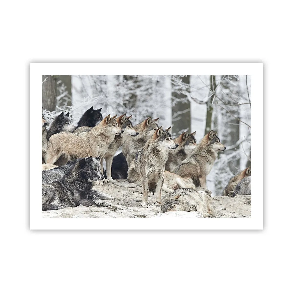 Póster - Familiares y amigos - 70x50 cm