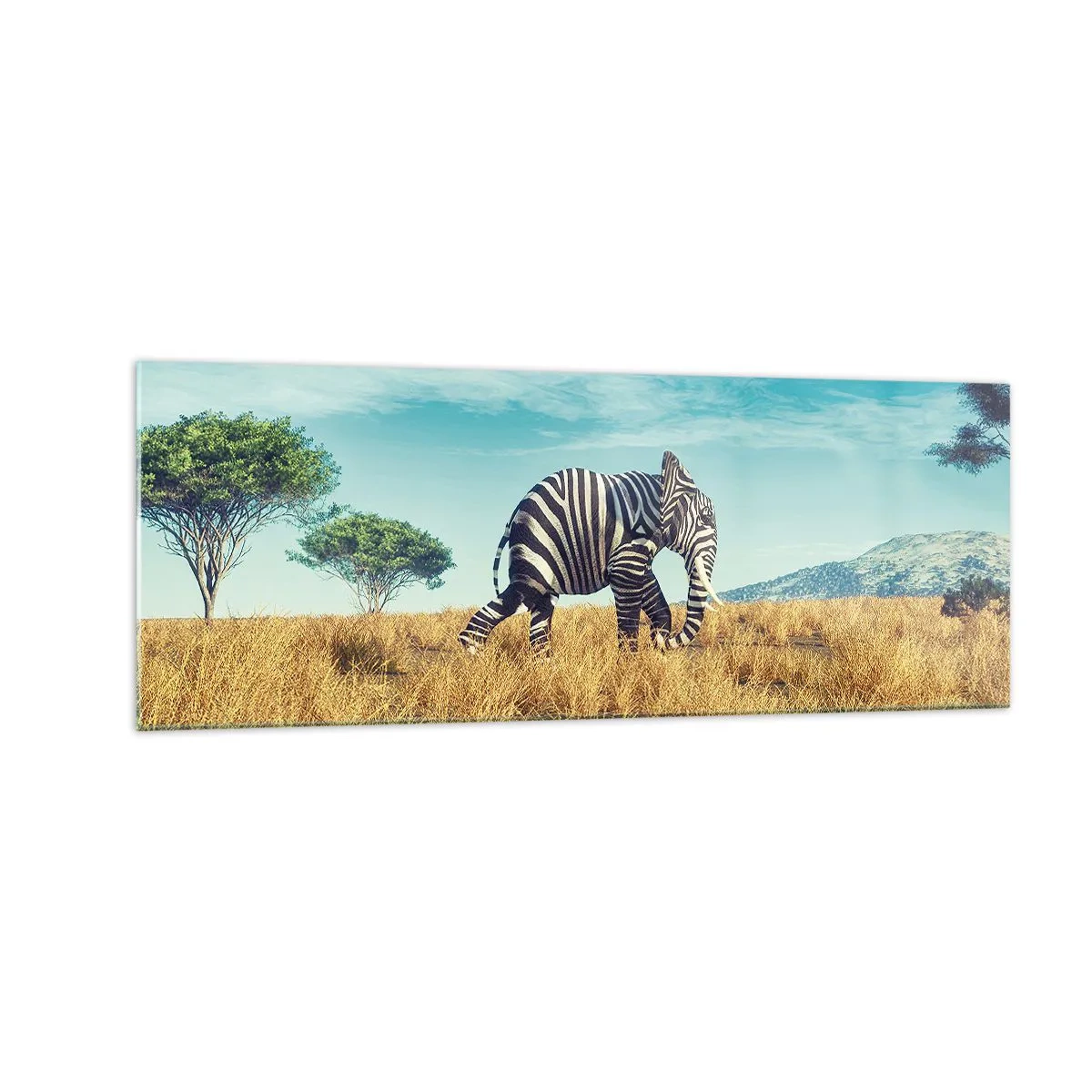 Cuadro sobre vidrio - Impresiones sobre Vidrio - Cebra en un paisaje africano - 140x50cm - El gris ya no está de moda - Decoración de pared moderna para salón y dormitorio ARTTOR