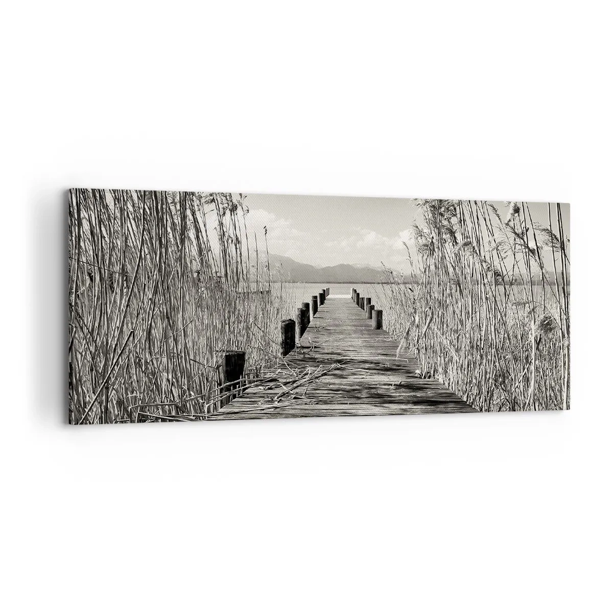 Cuadro sobre lienzo - Impresión de Imagen - En la quietud de los juncos - 100x40 cm