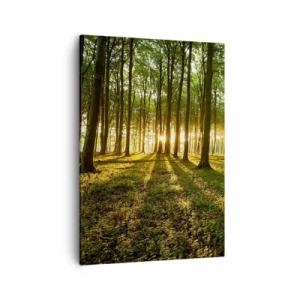 Cuadro sobre lienzo - Impresión de Imagen - El sol poniente en el bosque caducifolio - 50x70cm - Una fotografía de todos los manantiales - Decoración de pared moderna para salón y dormitorio ARTTOR