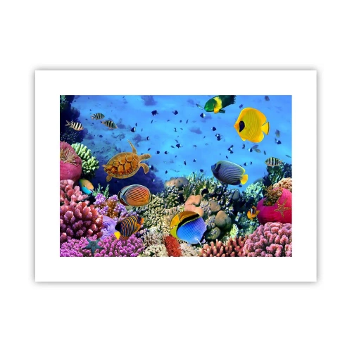 Póster - Y qué sabemos de la vida... - 40x30 cm