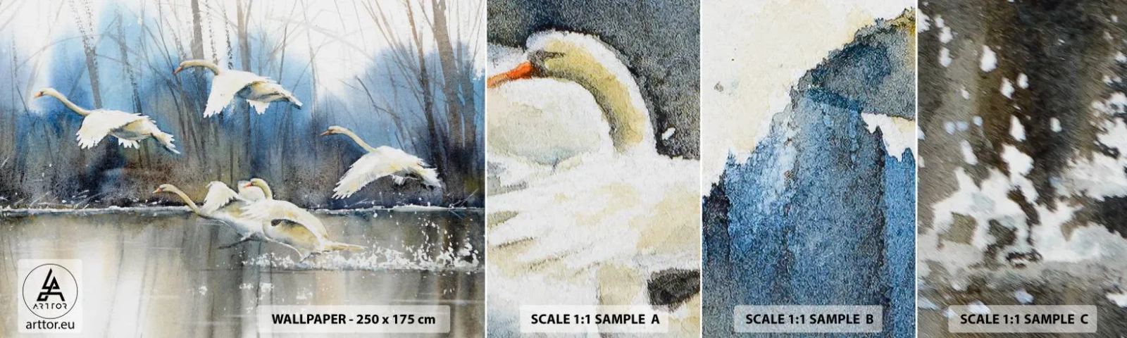 Muestra De Fotomural Standard Eco - Como en un cuento de cisnes salvajes - cisnes, Aves, Paisaje - 100x30 cm