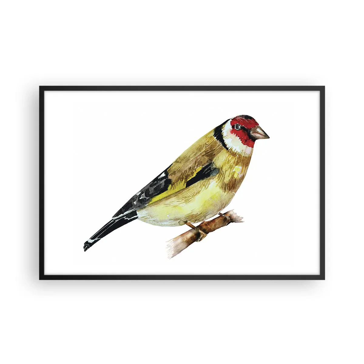 Póster en marco negro - Retrato de pájaro - 91x61 cm