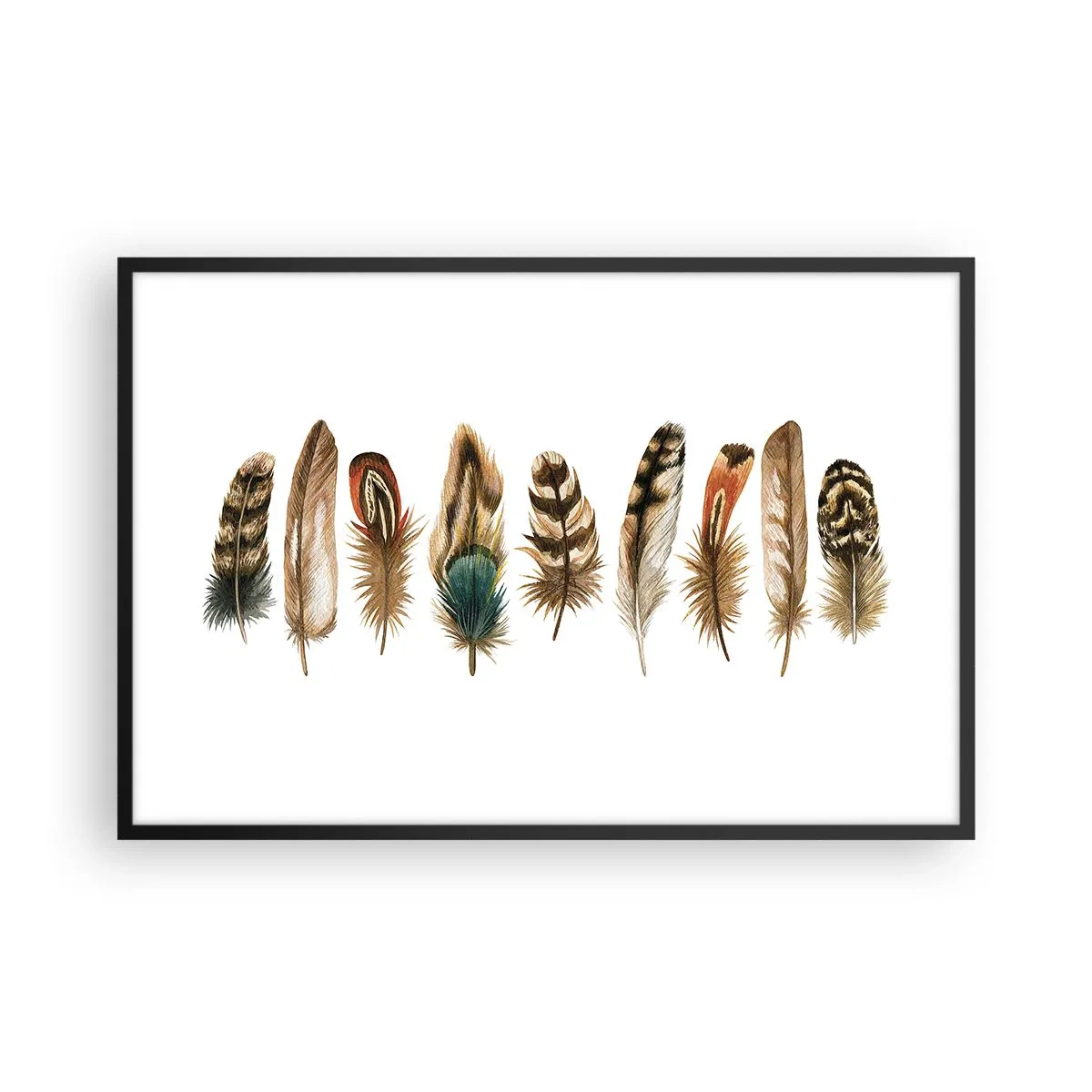 Póster en marco negro - Estudio de plumas - 91x61 cm