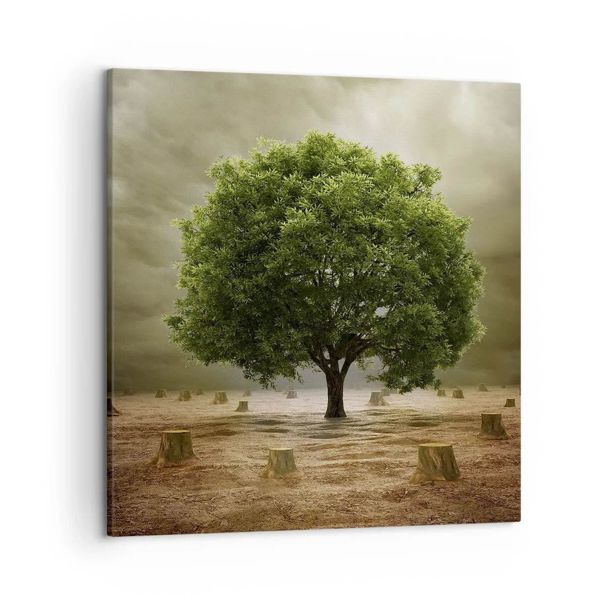Cuadro sobre lienzo - Impresión de Imagen - La esperanza - 50x50 cm
