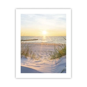 Póster - El sonido del mar, el canto de los pájaros, una playa virgen entre las dunas... - 40x50 cm