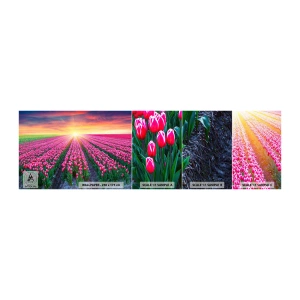 Muestra de fotomural autoadhesivo Deluxe Sticker - Granja de belleza - flores, tulipanes, Atardecer - 100x30 cm