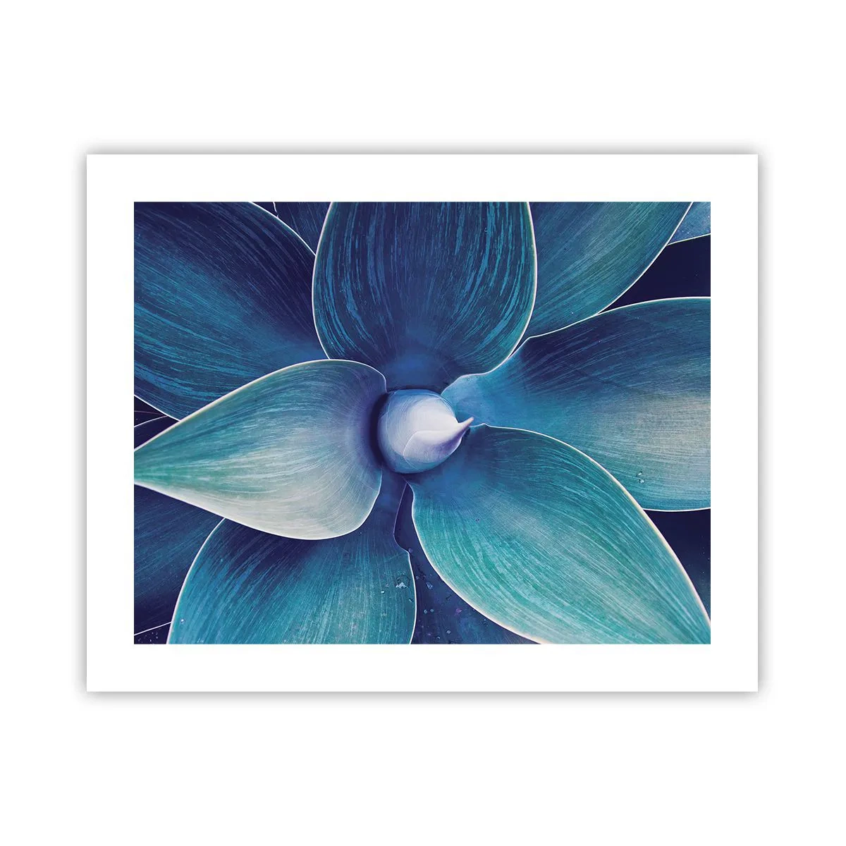 Póster - Azul del cielo - 50x40 cm