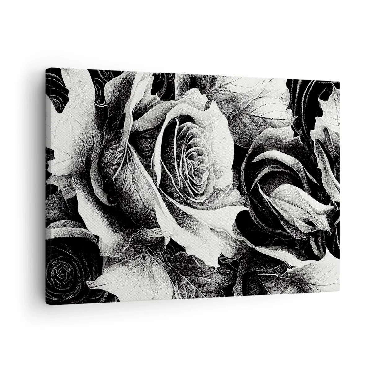 Cuadro sobre lienzo - Impresión de Imagen - Rosas blancas y negras en una elegante composición. - 70x50cm - Siempre como una reina - Decoración de pared moderna para salón y dormitorio ARTTOR