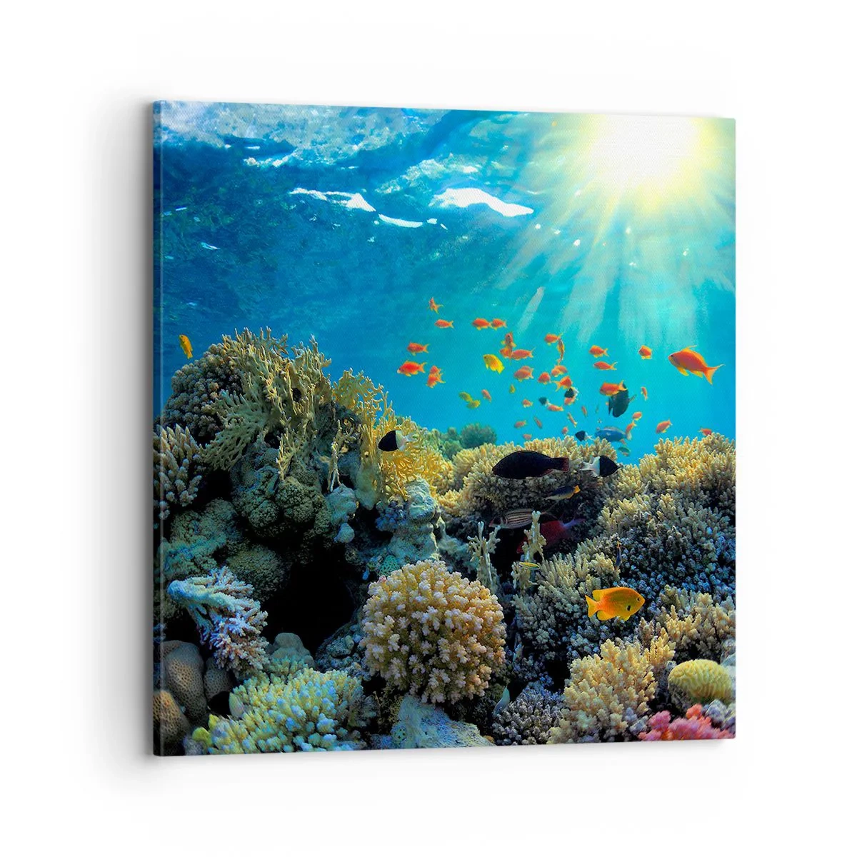 Cuadro sobre lienzo - Impresión de Imagen - Tesoros submarinos - 70x70 cm