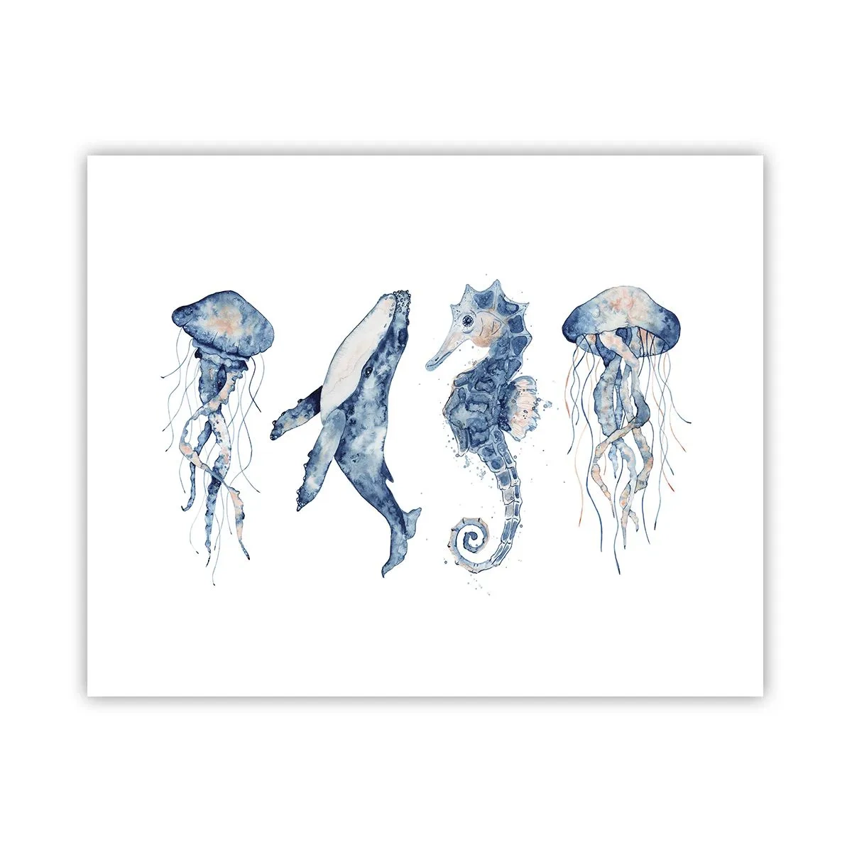 Póster - Fauna marina - 50x40 cm