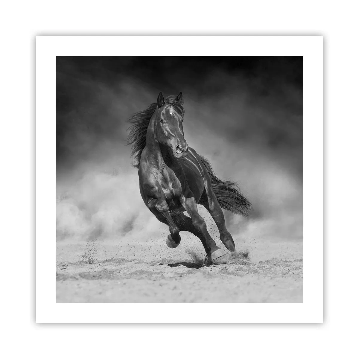 Póster - Digno del propio emir - 50x50 cm